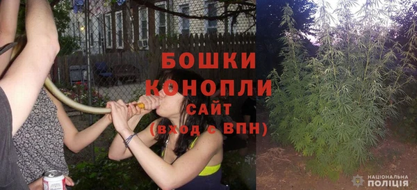 прущие крисы Белокуриха