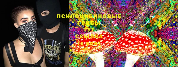 прущие крисы Белокуриха