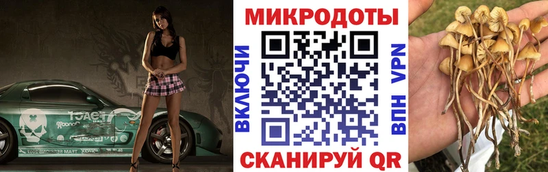 Псилоцибиновые грибы Psilocybe  Воскресенск 